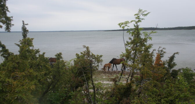Hiiumaa. “Mere laul”